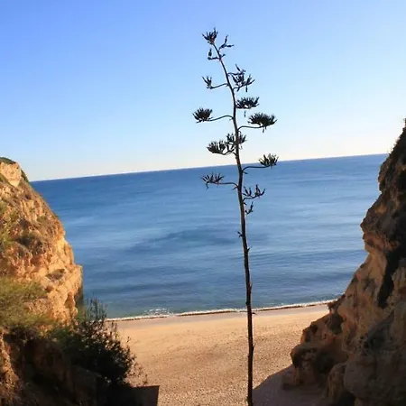 Apartment Casa Carmen Albufeira